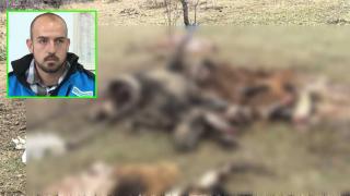 Екологична криза заплашва резерват „Джендема” (видео)