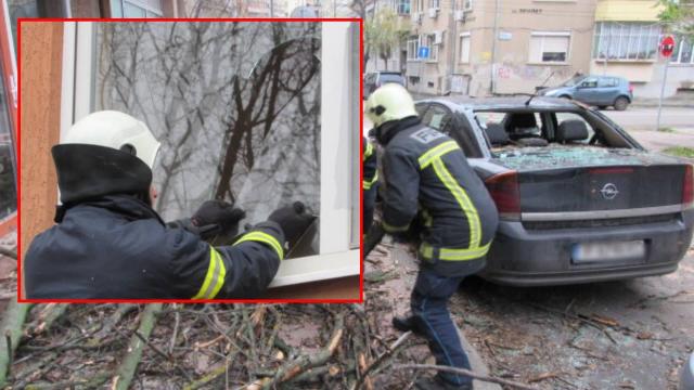 Изсъхнало дърво падна и потроши прозорец на жилище и няколко автомобила в Русе