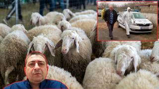 БАБХ ще проверява за шарка по животните в Сливенско (видео)