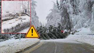 Проходите Петрохан и Пампорово са затворени за движение (видео)