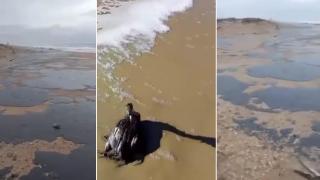 Трети руски танкер бедства в Черно море, петна от мазут са изплували по руското крайбрежие