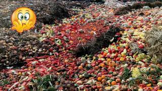 Вижте колко килограма храна изхвърляме за година в България (видео)