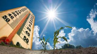 2024 г. е била най-топлата за България от близо сто години