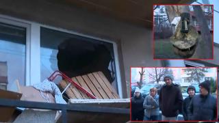 Пореден случай на психично болен, който тормози и заплашва съседи в София (видео)