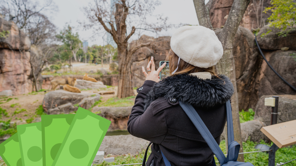 Повече от два пъти вдигат цените на билетите за зоопарка в София