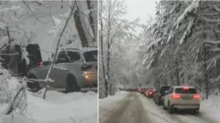Ограничен достъп за коли и повече автобуси към Витоша от днес
