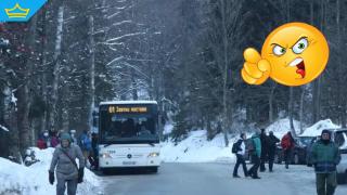 Ето кой е виновен за проблемните автобуси от София до Витоша