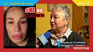 #НеНаНасилието: Надежда Стойчева, "Анимус": Никой не заслужава да бъде подлаган на насилие! (РЕПОРТАЖ)