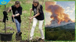 Хора от 3 до 80+ години садят кедрови дръвчета край Стара Загора (видео)