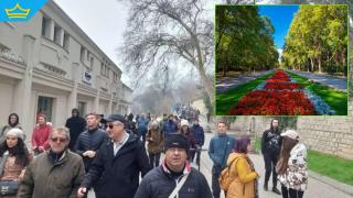 Варна най-после се събуди и видя проблем в изсичането на дървета в Морската градина