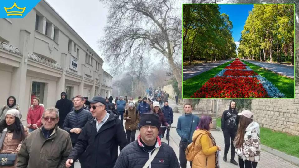 Варна най-после се събуди и видя проблем в изсичането на дървета в Морската градина