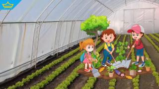 Деца от Казанлък сами ще си отглеждат зеленчуци, за да се хранят здравословно (видео)