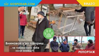 #Зоополиция: Мъж нападна доброволци, опитващи да хванат котка за кастрация (РЕПОРТАЖ)