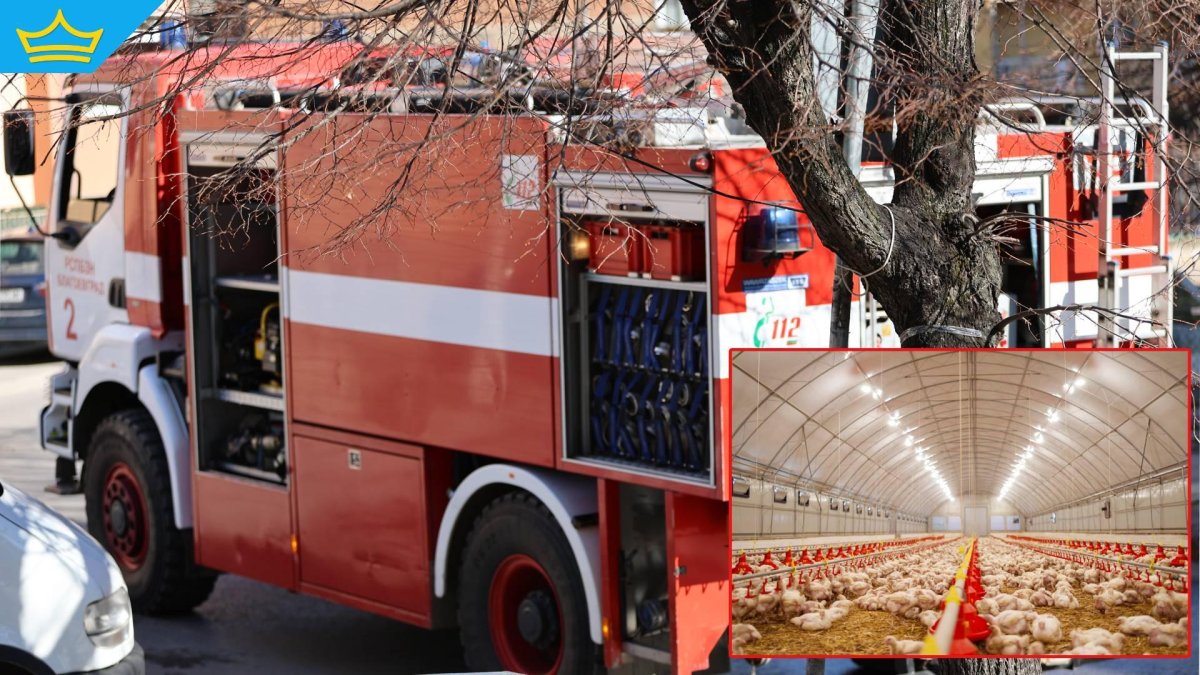 Пожар в птицеферма край Чирпан погуби 30 000 птици