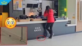 Плъх се разходи покрай заведение за бързо хранене в столичен мол (видео)