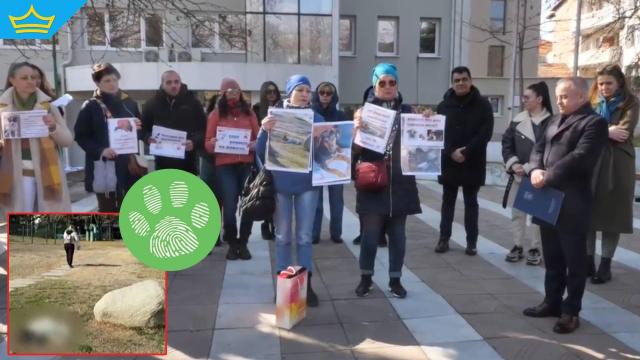 Откриха поредно натровено куче в Сандански минути след протест в защита на животните (видео)