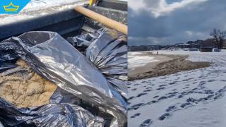 Мазутни петна са открити по брега на плаж в Созопол
