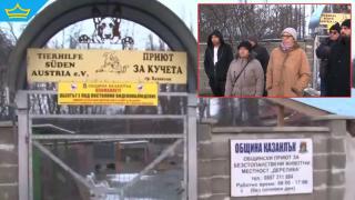 Психично болен преби с кол директора на приюта за животни в Казанлък (видео)