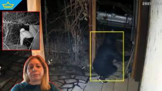 Семейство от Луковит стана жертва на крадци 3 пъти в рамките на 10 дни (видео)