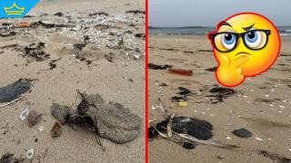 Мазут изплува на плаж в Приморско (видео)