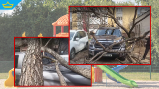 Дърво падна върху паркиран автомобил в близост до детска площадка (видео)