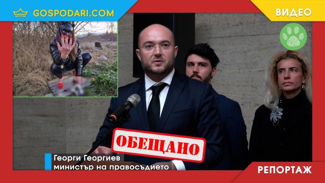 Зверствата над животни в Перник доведоха до обещания за законодателни промени (РЕПОРТАЖ)
