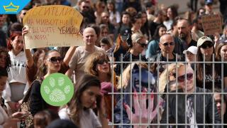 Протестите срещу садизма над животни в цялата страна продължават