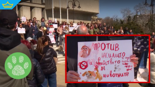 Граждани във Варна протестират срещу насилието над животни (видео)