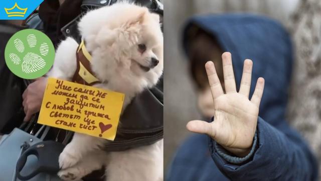 „Не игнорирай“: Протести срещу садистичните прояви над беззащитните се провеждат в десетки градовеу нас (видео)