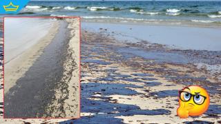 Мазут заля плаж край Варна