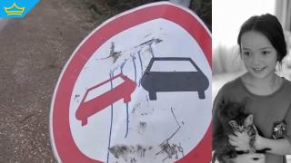 Националната следствена служба ще разследва катастрофата, при която загина Сияна