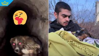 Мъж прекара часове в спасяване на кученце, паднало в дълбока шахта (видео)