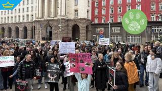 Нови протести срещу насилието над животни у нас 