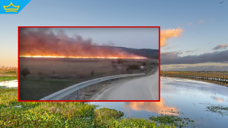 Пожар избухна в защитена местност край село Алдомировци (видео)