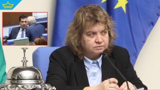 Киселова отново блокира изслушването в НС за контрабандния канал за цигари в Пловдив