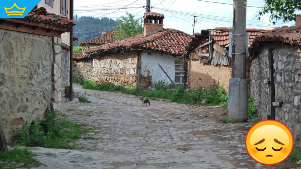 Всяко 4-о село в страната е с до 50 жители, почти 200 са напълно обезлюдени