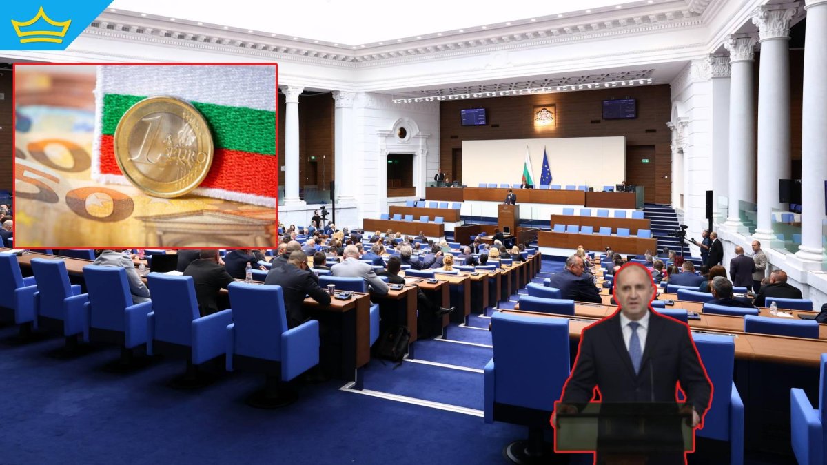 Предложението за референдум е вече в Парламента, вижте мотивите на Радев