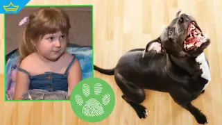 Домашен питбул едва не уби 4-годишно дете (видео)