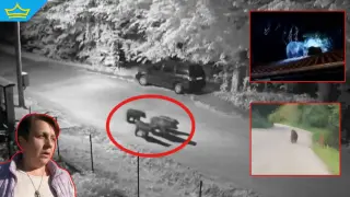 Мечки влизат в къщи и унищожават насаждения и пчелни кошери в Севлиевско (видео)