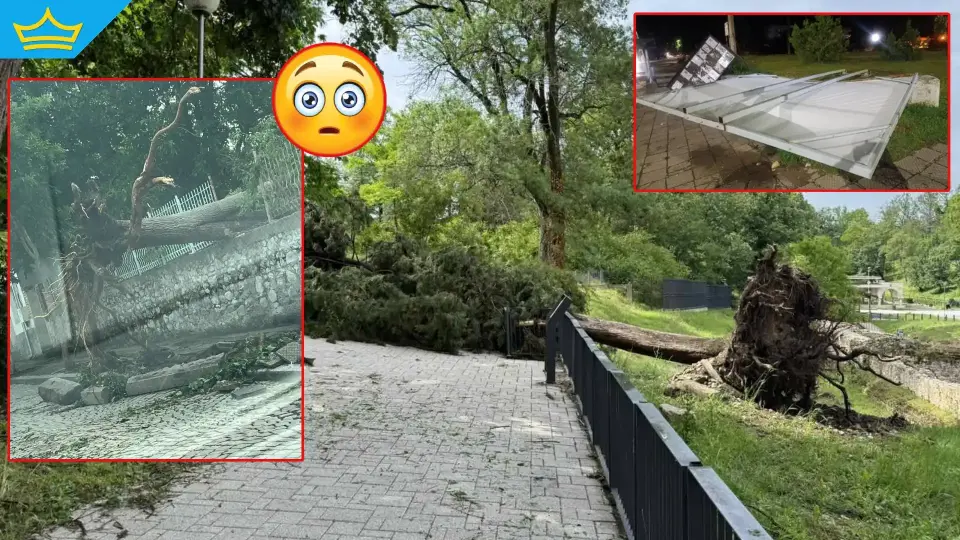 Мощна буря с градушка изкорени дървета и отнесе покриви в Хисаря | Title Мощна буря с градушка изкорени дървета и отнесе покриви в Хисаря