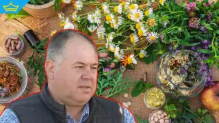 Билкарите у нас са изправени пред сериозна криза (видео)