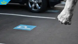 Спор за паркомясто в Габрово завърши със счупени ребра