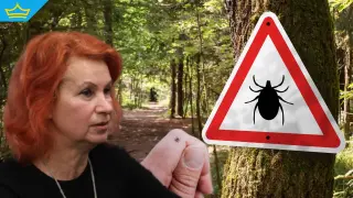 Здравните власти отчитат двоен ръст на заболелите от лаймска болест спрямо миналата година