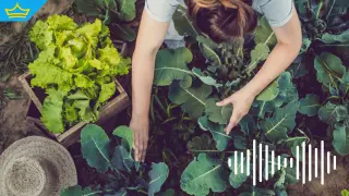 Българка „превежда“ езика на растенията с революционна система (видео)