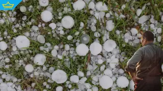 Земеделци от Новозагорско излизат на протест след градушката, настояват за справедливи компенсации (видео)