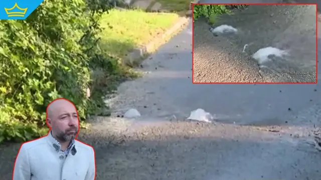 След дни на безводие в Перник нова ВиК авария пилее вода по улиците на града (видео)
