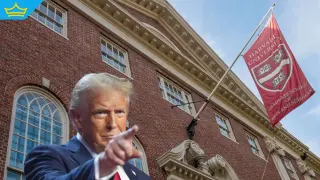 Съдия блокира забраната на Тръмп срещу чуждестранните студенти в “Харвард“