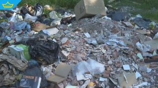 Незаконно сметище до болница и общежития от години тормози пловдивчани
