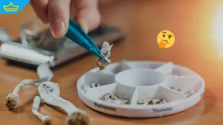 Страна разреши медицинската употреба на “магически гъби“ за лечение