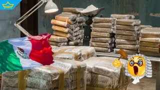 Бивша адвокатка на наркобарона Ел Чапо става съдия в Мексико